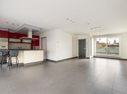 Duplex met 2 slaapkamers en prachtig terras (27m&sup2;) hartje Lier Kartuizersvest  58 2500 Lier 73375460